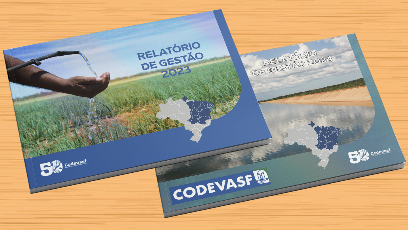 RELATÓRIO DE GESTÃO INTERATIVO